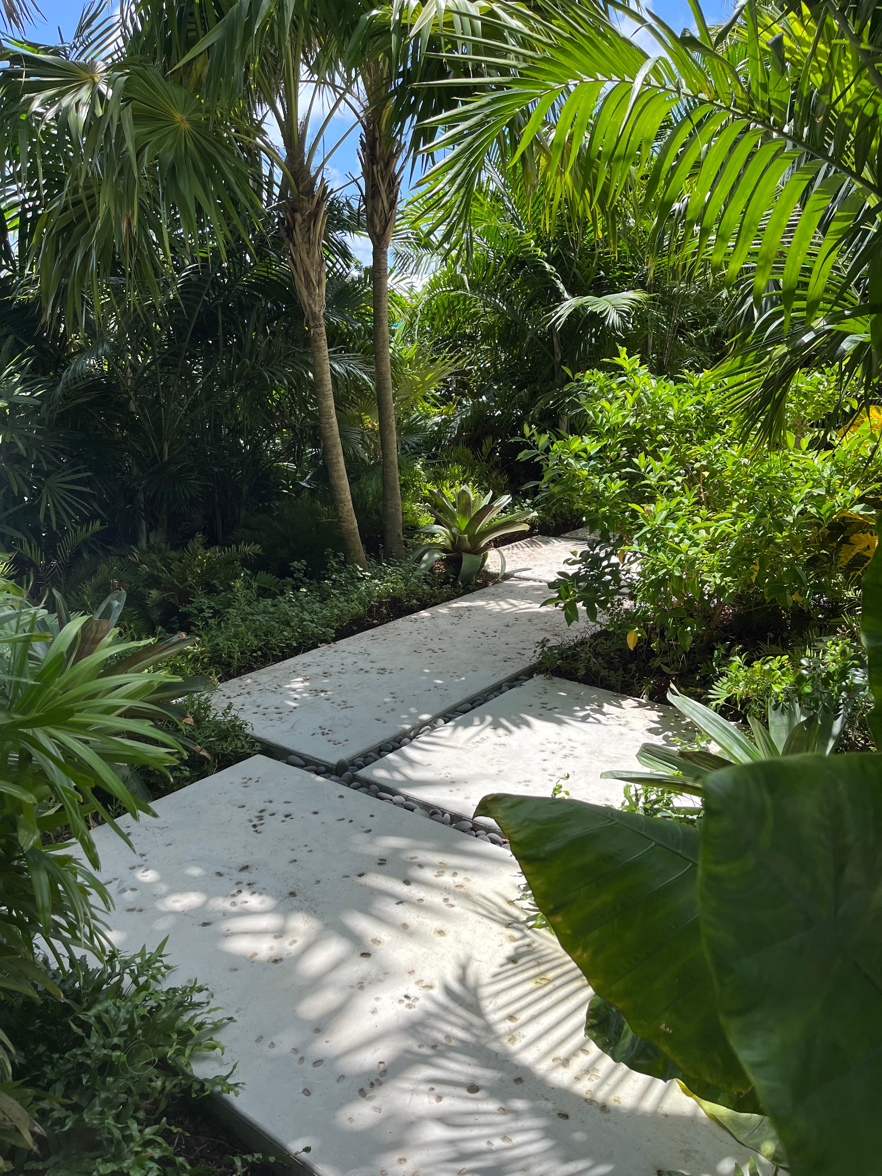 Evergreen Islands — Florida Keys white-glove yard service
